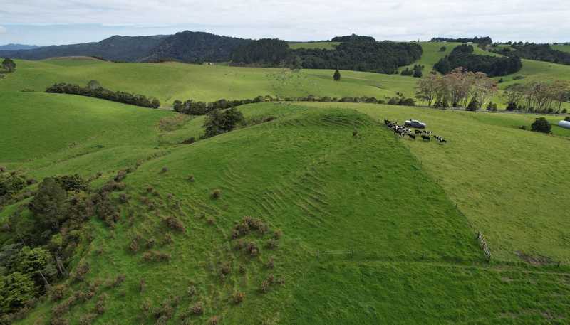  State Highway 10, Kaeo