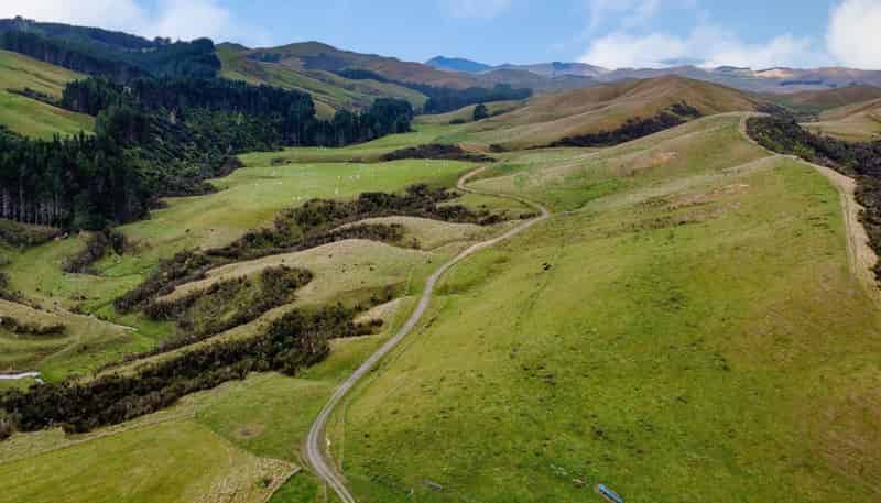 25 Mangamaire Road, Dannevirke