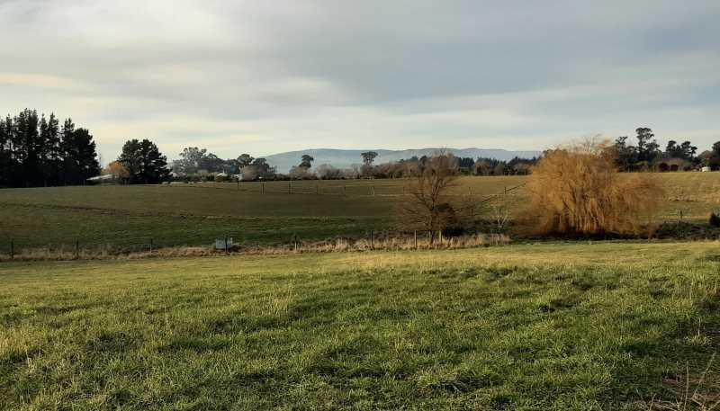 229 Balcairn Amberley Road, Amberley