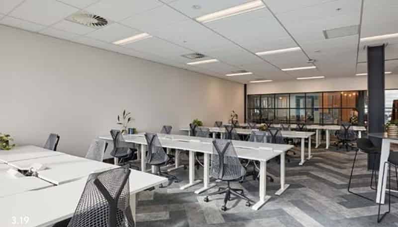  L3, Suite 19, 12 Madden Street, Auckland Central