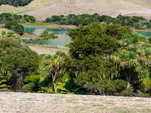 9 Waipatukahu Lane, Raglan