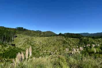 1870 The 309 Road, Whitianga