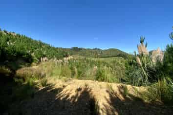 1870 The 309 Road, Whitianga