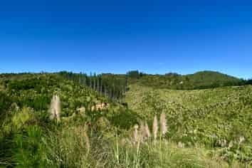 1870 The 309 Road, Whitianga