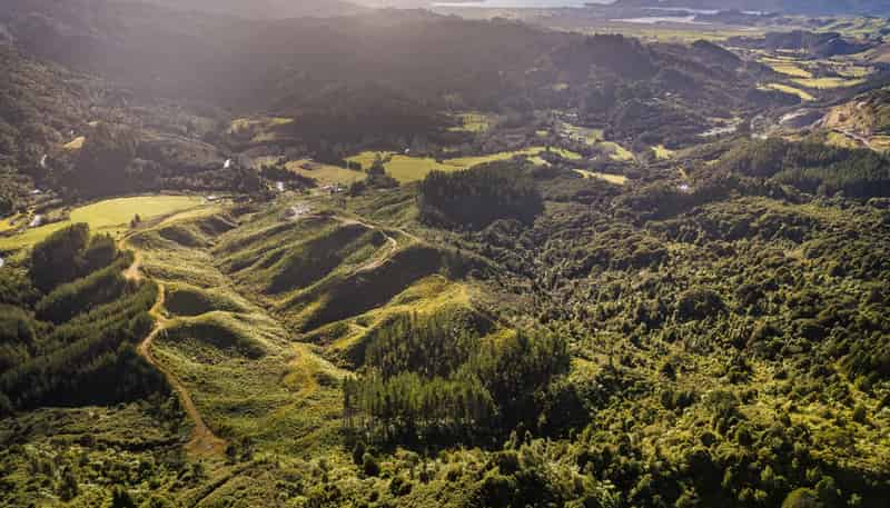 1870 The 309 Road, Whitianga