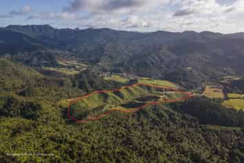 1870 The 309 Road, Whitianga