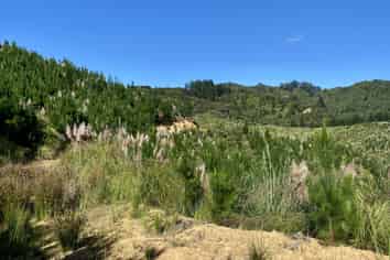 1870 The 309 Road, Whitianga