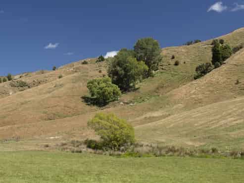 247 South Road, Mauriceville, Masterton