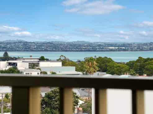 502/20 Williamson Avenue, Grey Lynn