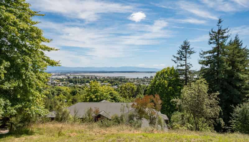 48d Selbourne Avenue, Richmond