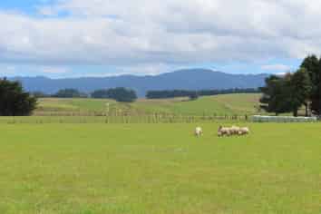 101 Umutaoroa Road, Dannevirke