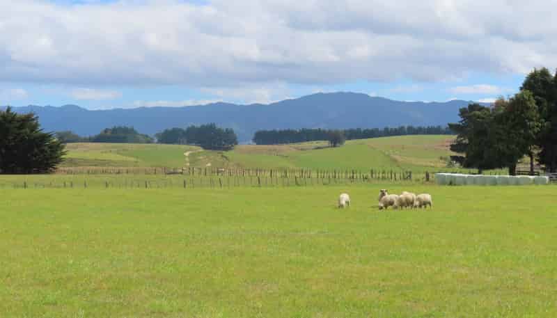 101 Umutaoroa Road, Dannevirke