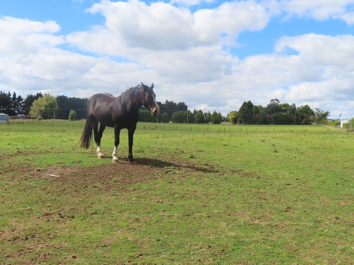 Premier Bareland Lifestyle - Ansicht 3