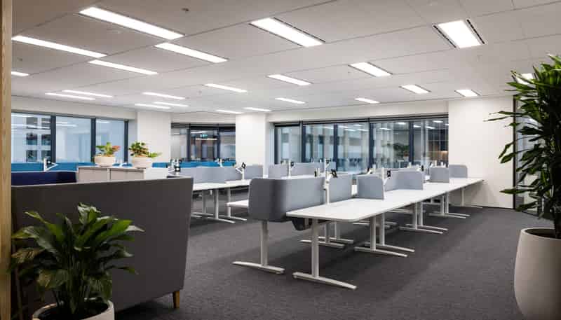 205 Queen Street, Auckland Central