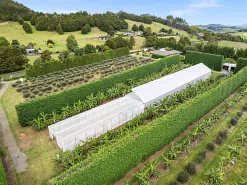 68 Snooks Road, Maungatapere