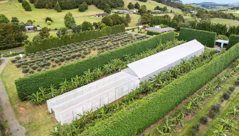 68 Snooks Road, Maungatapere