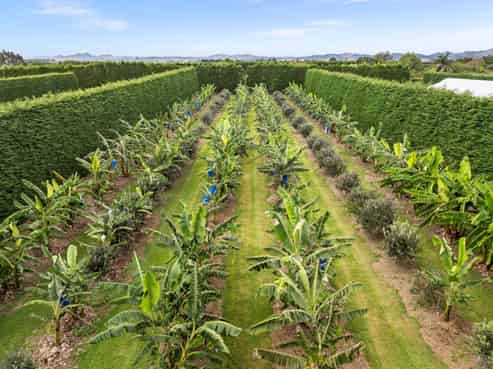 68 Snooks Road, Maungatapere