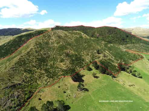  Wright Road, Te Aroha