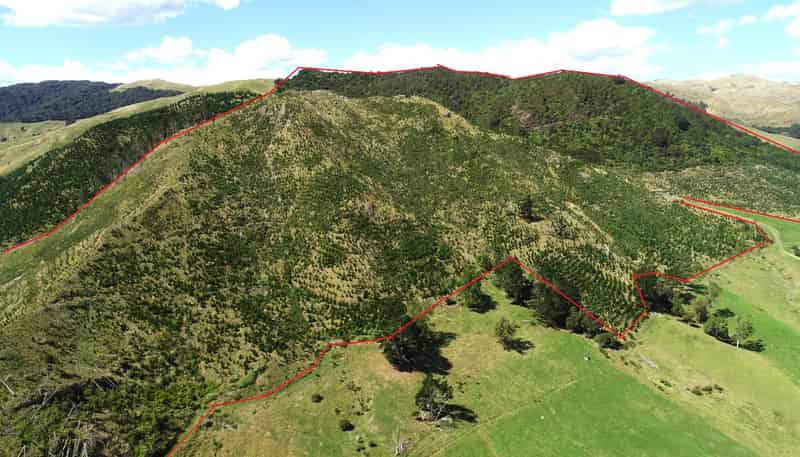 Wright Road, Te Aroha
