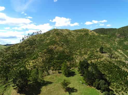  Wright Road, Te Aroha