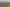513 Grahams Road, Huntingdon/Lake Hood