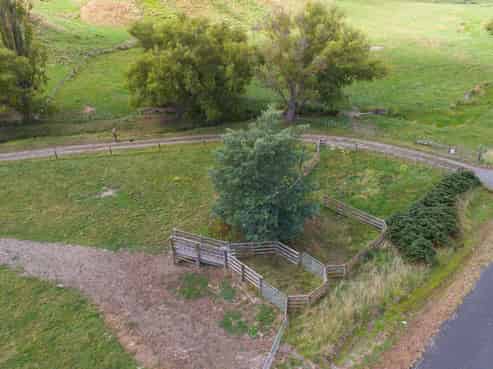 551 Valley Road, Feilding