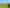 12 Hodgson Lane, Tamahere
