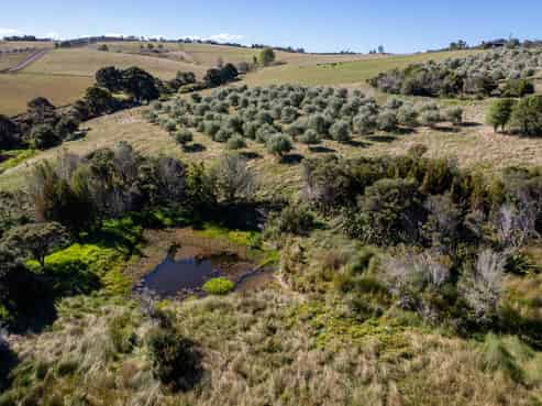 91 Keith Road and 587 Ormiston Road, Ruakaka