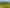 7 Sites on Grey Heron Close, Mangawhai Heads