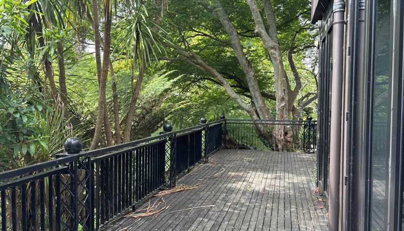 Lower Ground Floor, 20 Alma Street, Hamilton Central