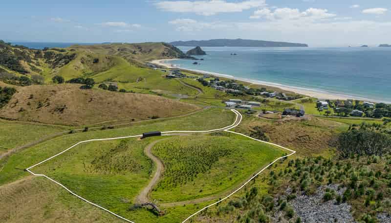 838 Black Jack Road, Opito Bay