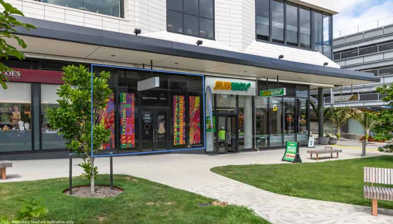 Suite 002/38 Elizabeth Street, Tauranga Central