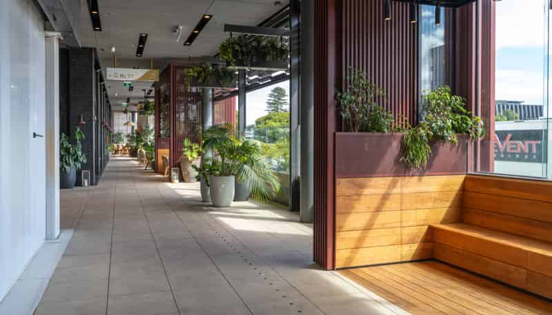 Suite 102/38 Elizabeth Street, Tauranga Central