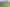  126 Fordyce Road, Parakai