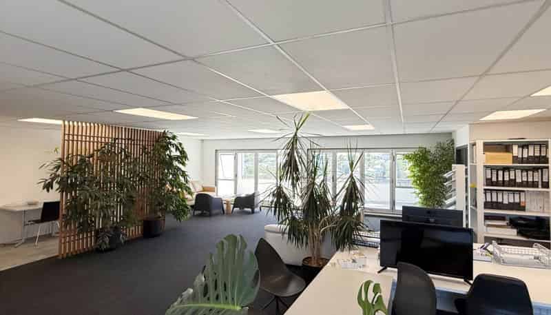 353 New North Road, Kingsland