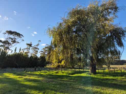 5071 State Highway 12, Ruawai