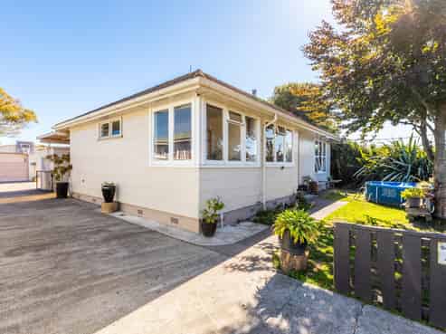 23 Geddis Avenue, Maraenui
