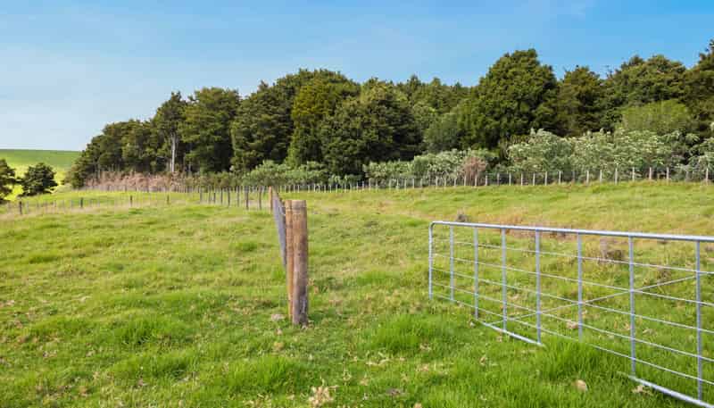  Whakataha Road, Waimate North