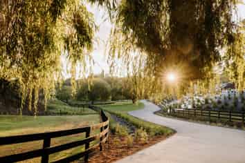Bay of Plenty - Address withheld