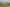 Bay of Plenty - Address withheld