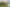 Bay of Plenty - Address withheld