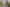 Bay of Plenty - Address withheld
