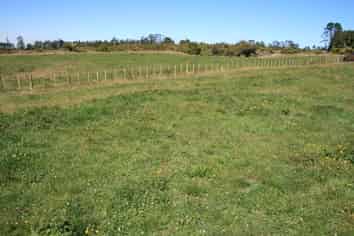 0pp 86 Johns Road, Tariki