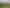 Manawatu / Whanganui - Address withheld