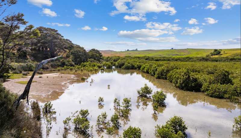 125a Linton Road, Maungaturoto