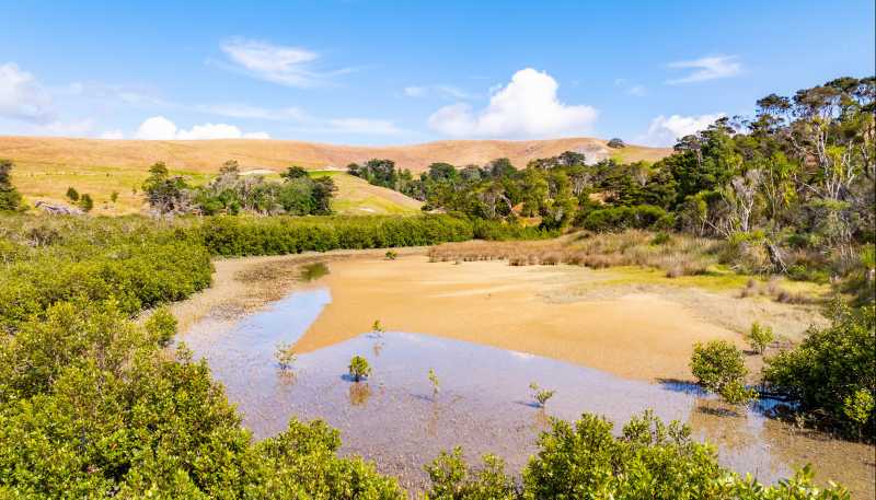 125a Linton Road, Maungaturoto
