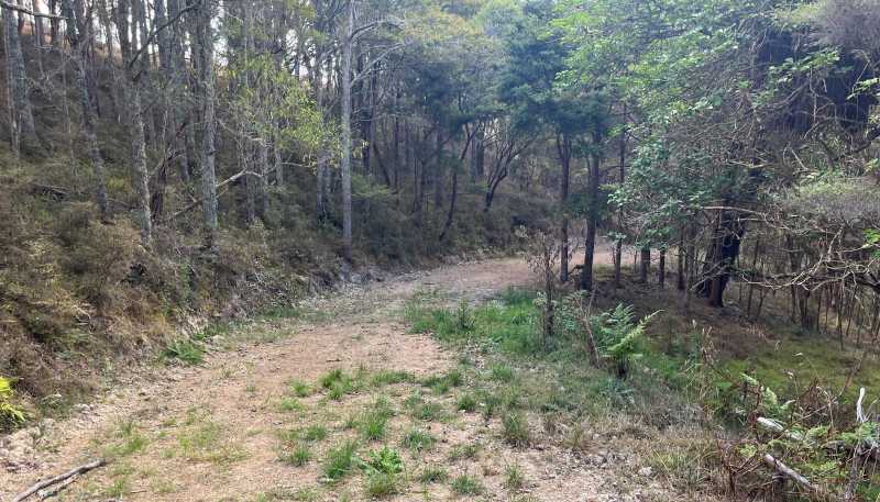 125a Linton Road, Maungaturoto