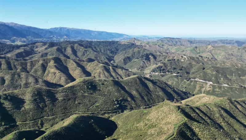 369 Makopua Road, Taihape