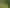 397 Glentui Bush Road, Glentui
