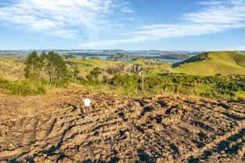 896 Whakapirau Road, Maungaturoto
